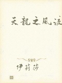 天龙之风流虚雨封面