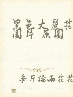 黑色大丽花真实图片 原图