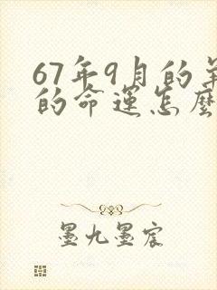 67年9月的羊的命运怎么样?封面