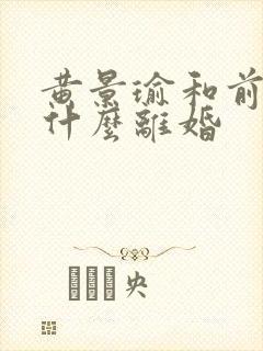 黄景瑜和前妻为什么离婚