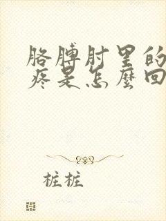 胳膊肘里的骨头疼是怎么回事