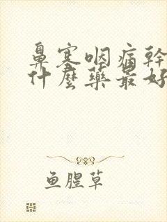 鼻塞咽痛干咳吃什么药最好