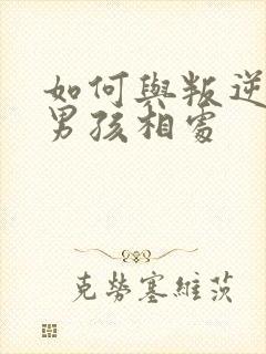 如何与叛逆期的男孩相处