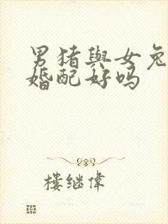 男猪与女兔属相婚配好吗封面