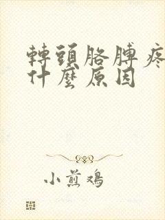 转头胳膊疼麻是什么原因封面