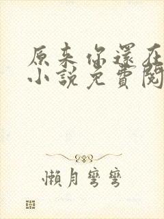 原来你还在这里小说免费阅读