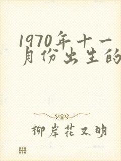 1970年十一月份出生的狗命运
