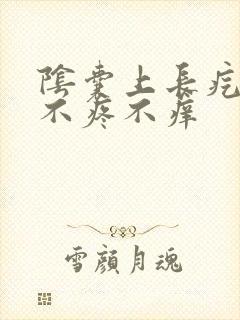 阴囊上长疙瘩 不疼不痒