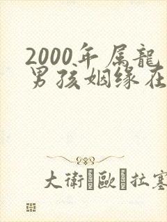 2000年属龙男孩姻缘在哪