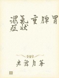 湿气重脾胃虚的症状