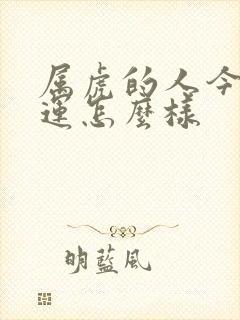 属虎的人今年财运怎么样