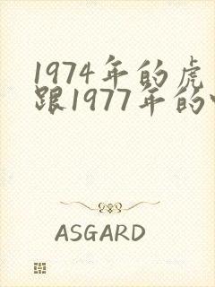 1974年的虎跟1977年的蛇相配吗