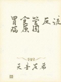 胃食管反流的发病原因