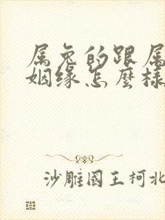 属兔的跟属猴的姻缘怎么样