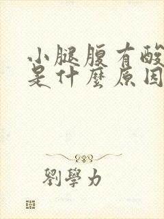 小腿腹有酸胀感是什么原因封面