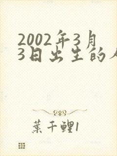 2002年3月3日出生的人是什么命