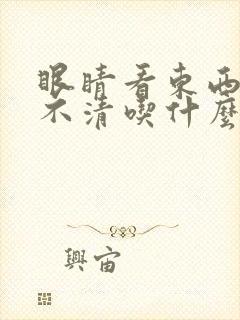 眼睛看东西模糊不清吃什么好