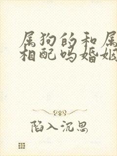 属狗的和属羊的相配吗婚姻