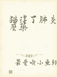 猫得了肺炎吃什么药封面