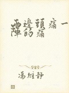 两边头痛一阵一阵的痛