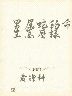 男属蛇的命运一生怎么样封面