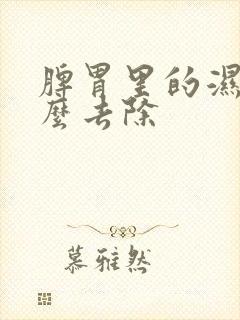 脾胃里的湿气怎么去除