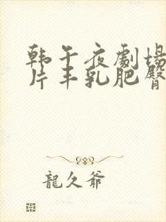 韩午夜剧场伦理片丰乳肥臀的少妇