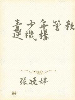 青少年管教的叛逆机构