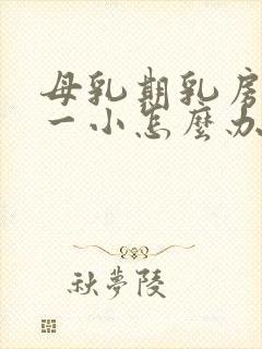 母乳期乳房一大一小怎么办封面