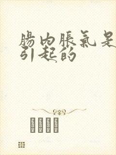 肠内胀气是怎么引起的