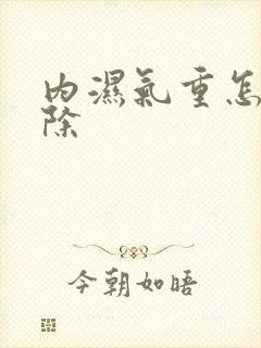 内湿气重怎么去除