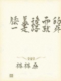 膝盖后面的腿窝一走路就疼