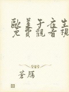 欧美午夜生活片免费观看视频在线