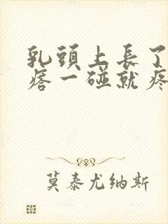 乳头上长了小疙瘩一碰就疼