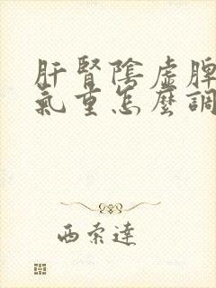 肝肾阴虚脾虚湿气重怎么调理