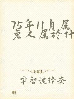 75年11月属兔人属于什么命封面