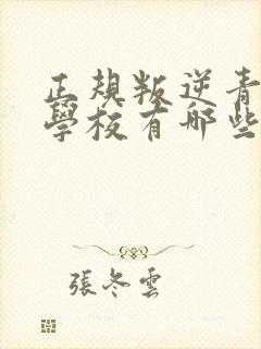 正规叛逆青少年学校有哪些封面