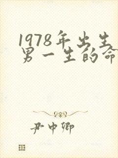 1978年出生男一生的命运封面