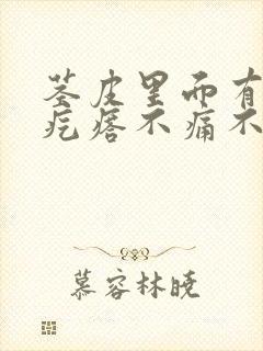 茎皮里面有个硬疙瘩不痛不痒