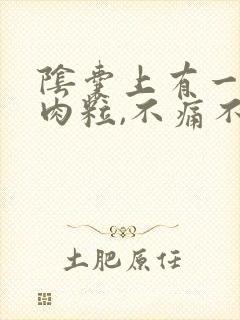 阴囊上有一个小肉粒,不痛不痒封面