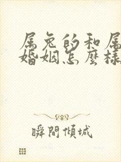 属兔的和属马的婚姻怎么样