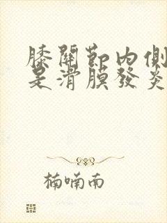 膝关节内侧疼痛是滑膜发炎吗封面