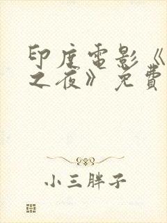 印度电影《爱经之夜》免费完整版