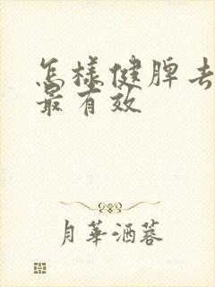 怎样健脾去湿气最有效