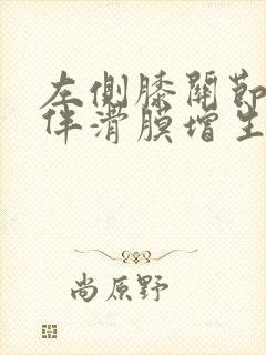 左侧膝关节积液伴滑膜增生