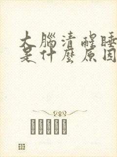 大脑清醒睡不着是什么原因封面