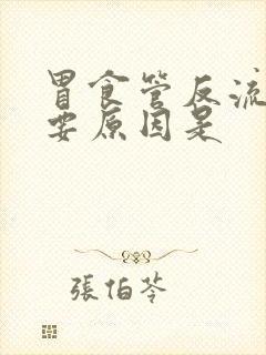 胃食管反流的主要原因是