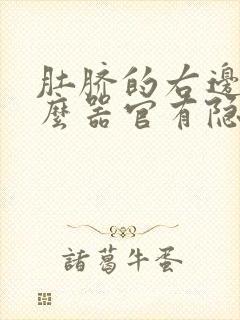 肚脐的右边是什么器官有隐隐的疼封面