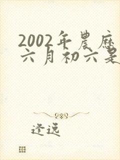 2002年农历六月初六是什么命