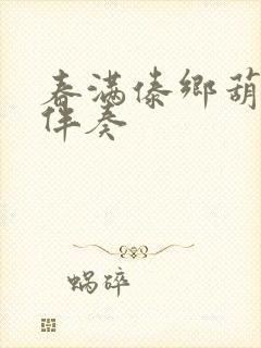 春满傣乡葫芦丝伴奏